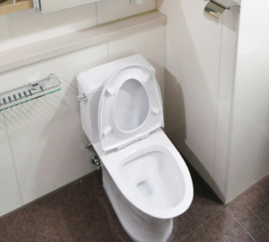 White Water Closet in Bathroom