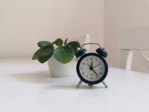Blue Alarm Clock with Pilea Plant on White Table