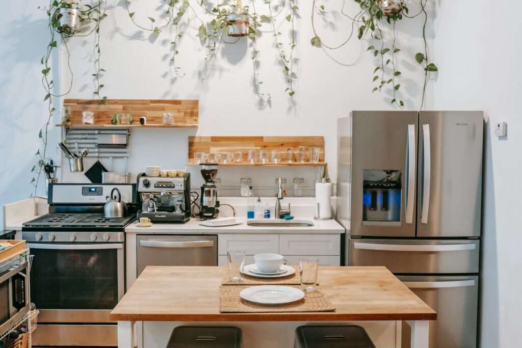 How to Clean Kitchen Appliances Properly Contemporary kitchen interior featuring stainless steel appliances and hanging plants.