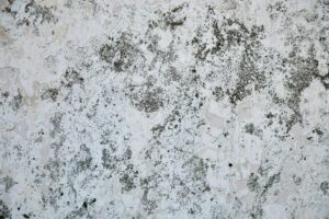 Close-up of a weathered and textured wall surface with peeling paint and moss.