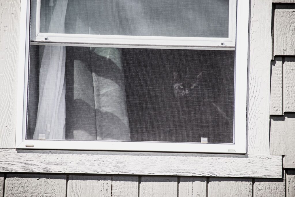 How to Repair a Screen Door or Window Screen
